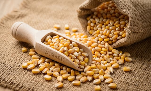 Grains